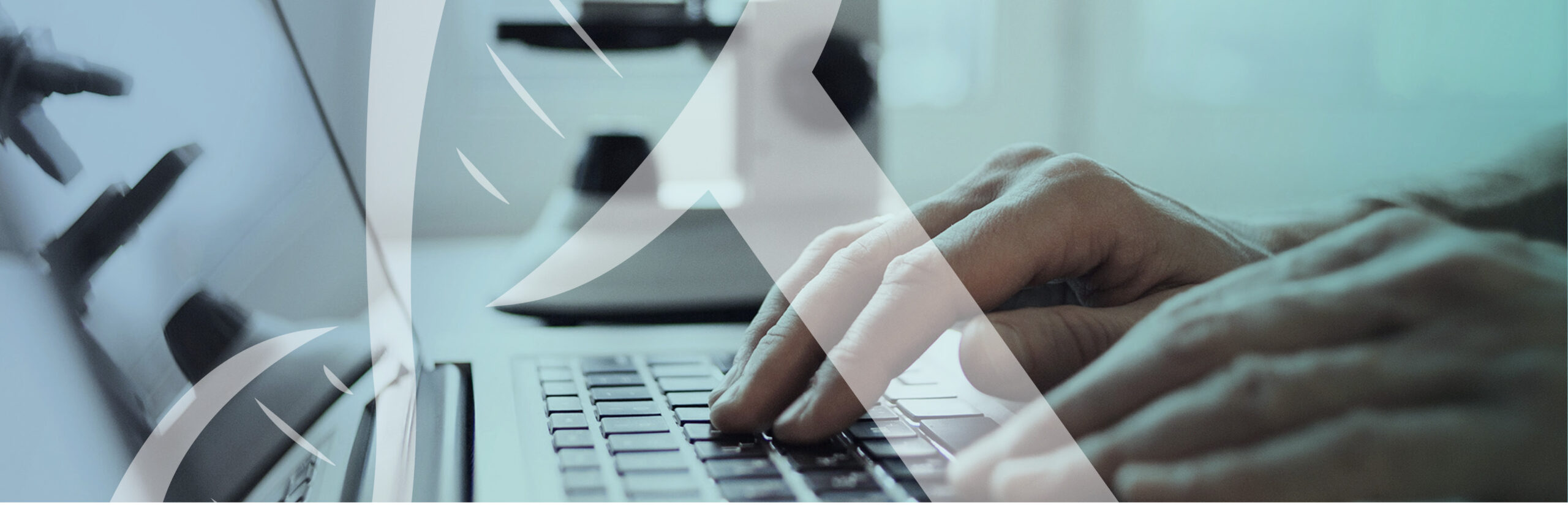 The Process - EXTEND